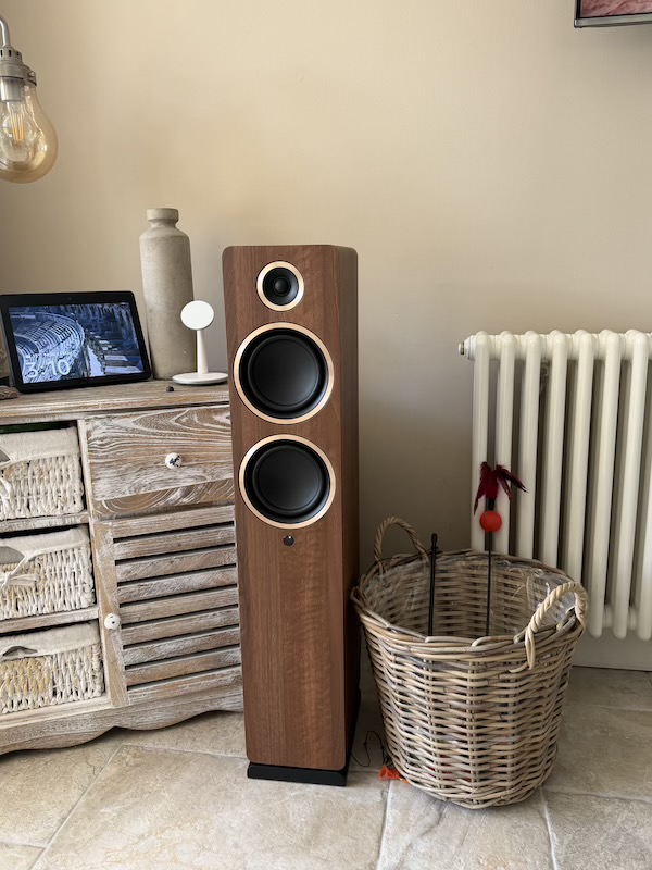 the A55 standing in the room