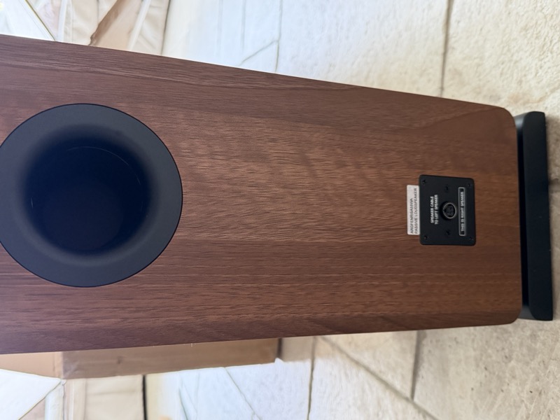 passive speaker rear port and binding post